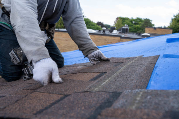 Best Storm Damage Roof Repair  in Albany, CA